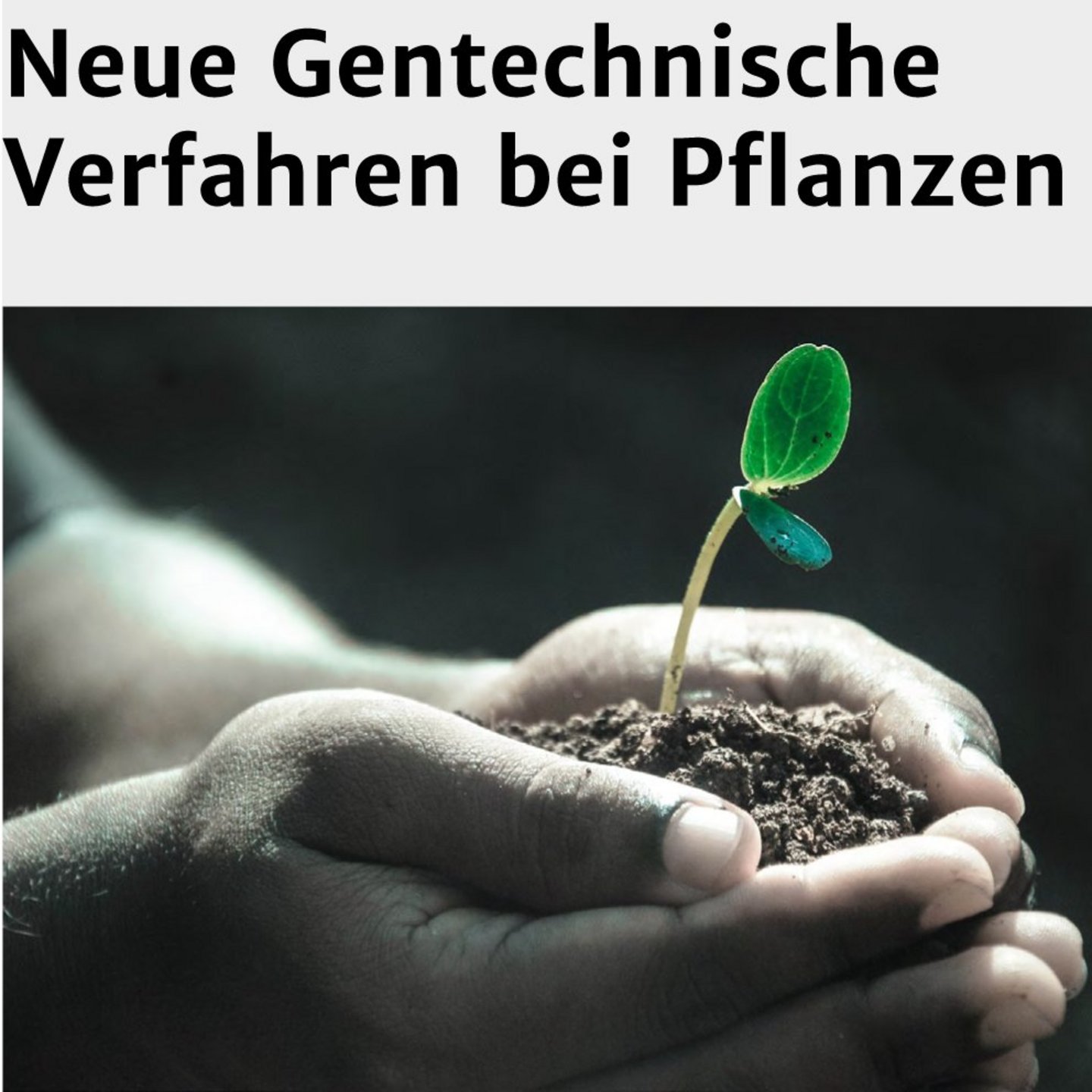 Titelseite einer Publikation zu Neuer Gentechnik